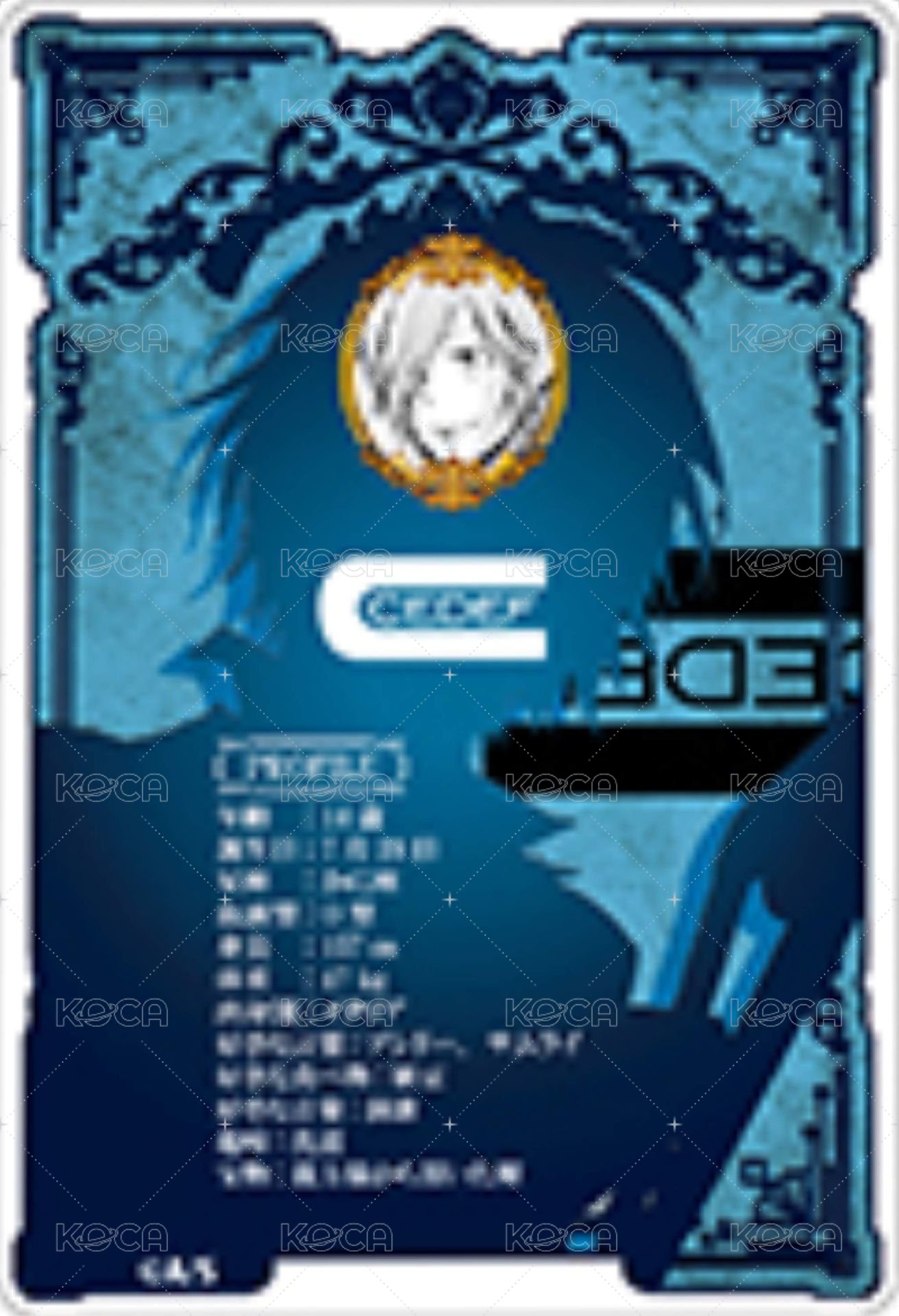 JF 2023 數據卡  背面