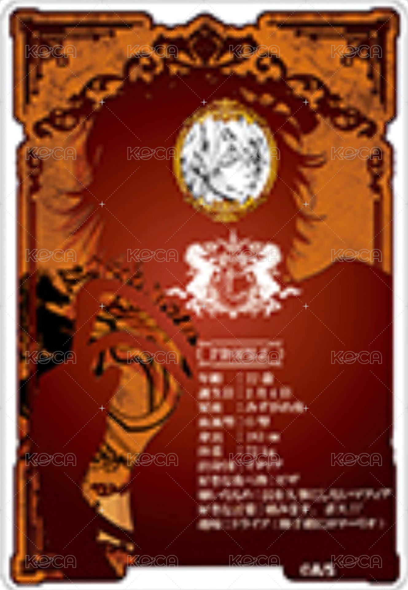 JF 2023 數據卡  背面