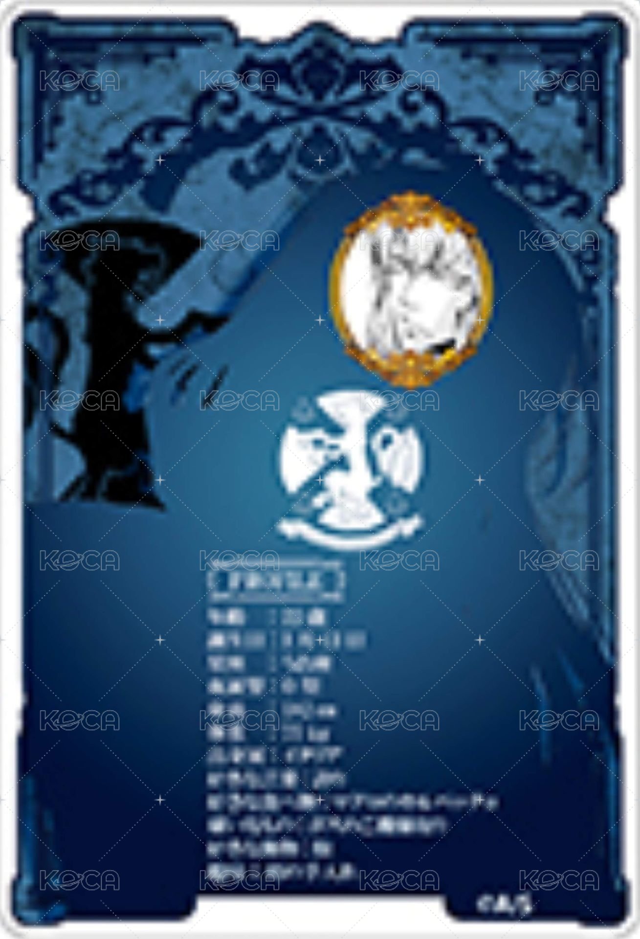 JF 2023 數據卡  背面
