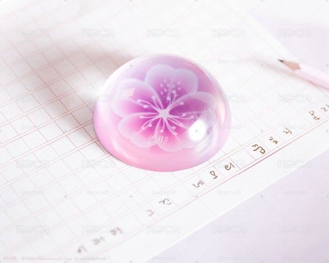 IU 花書籤꽃갈피 셋  紙鎮