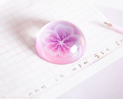 IU 花書籤꽃갈피 셋  紙鎮