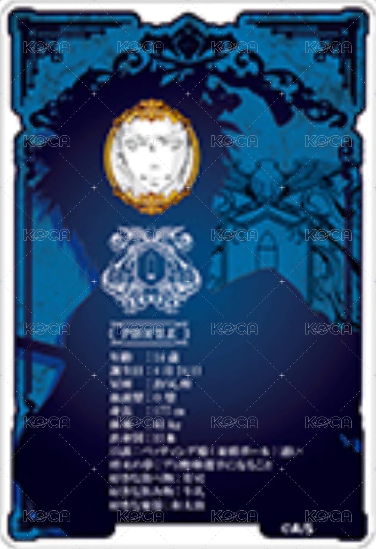 JF 2023 數據卡  背面