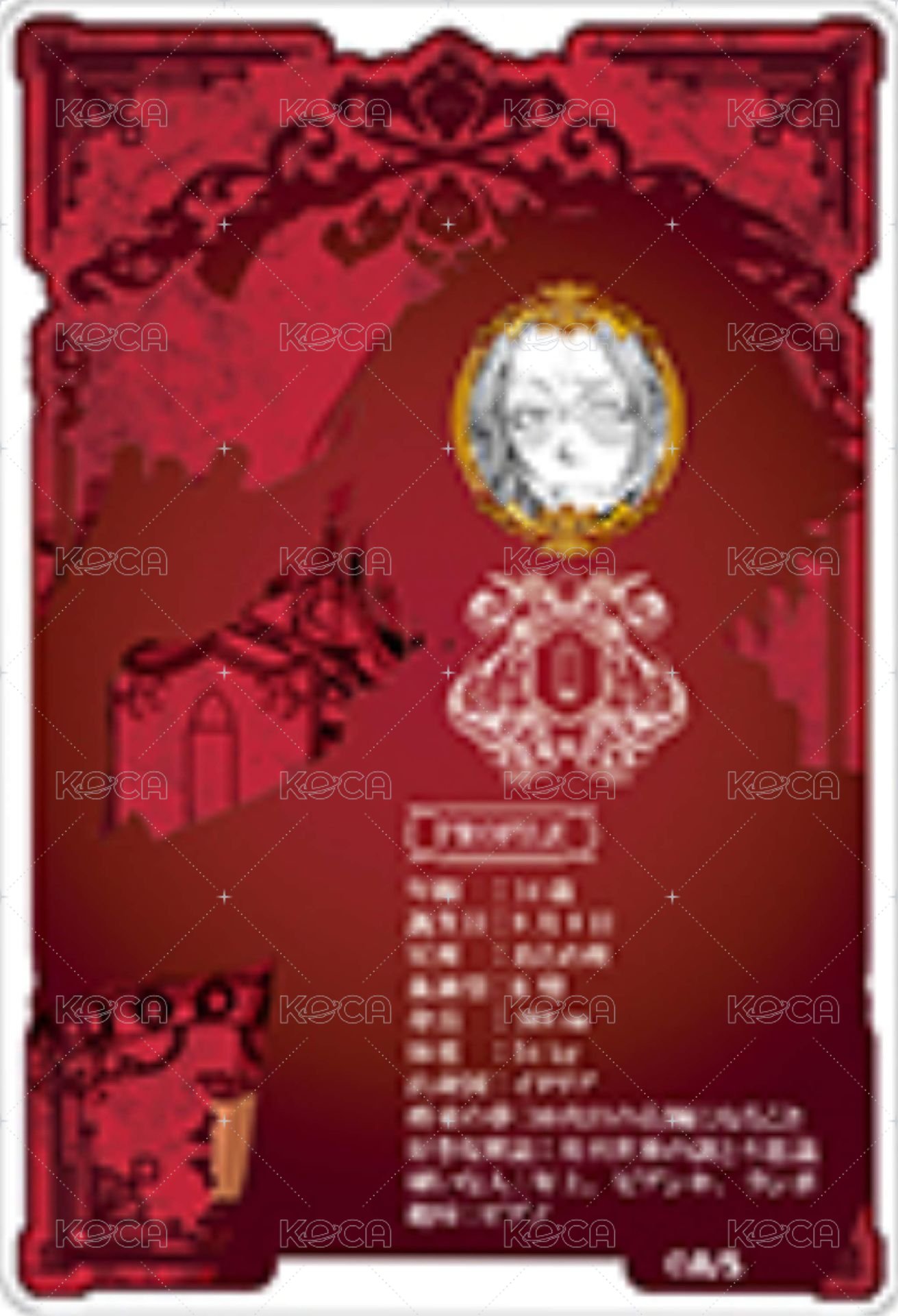 JF 2023 數據卡  背面