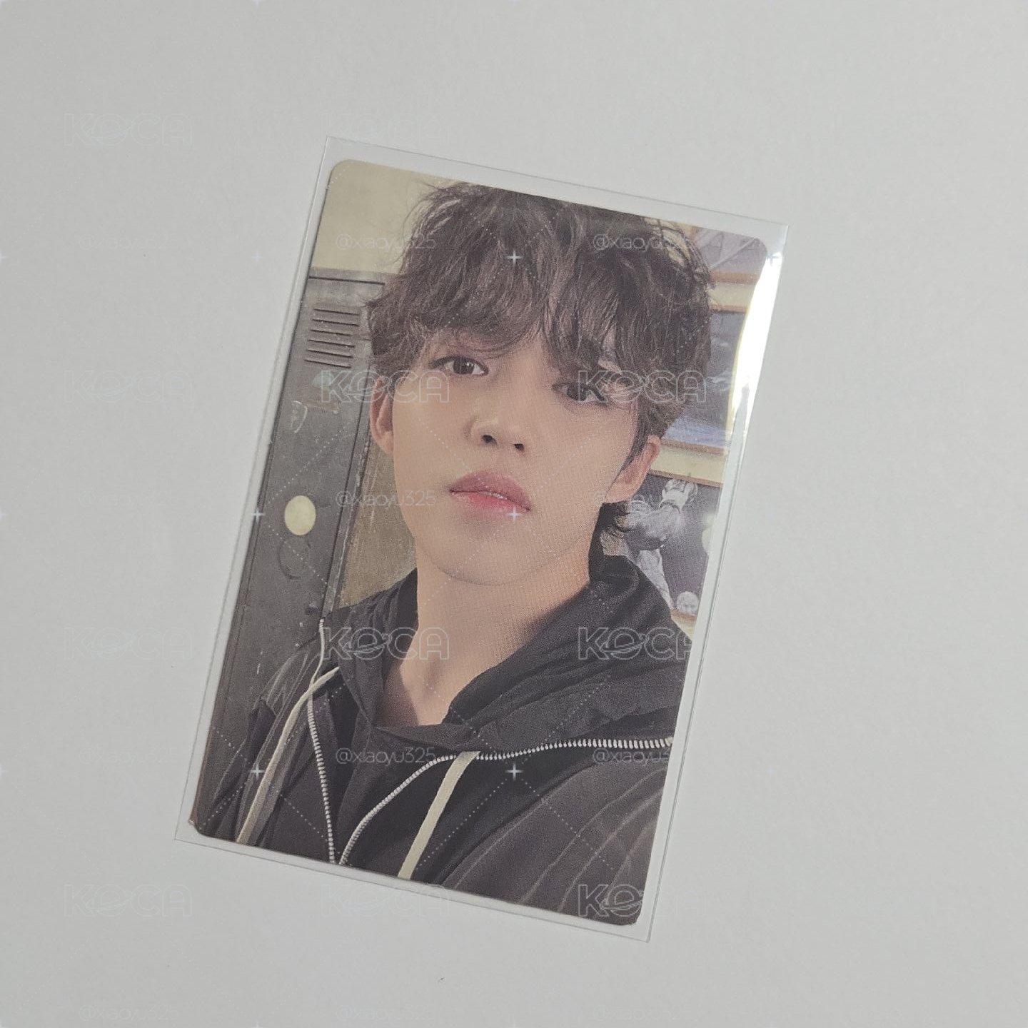 SVT MINI10 專卡 哲
