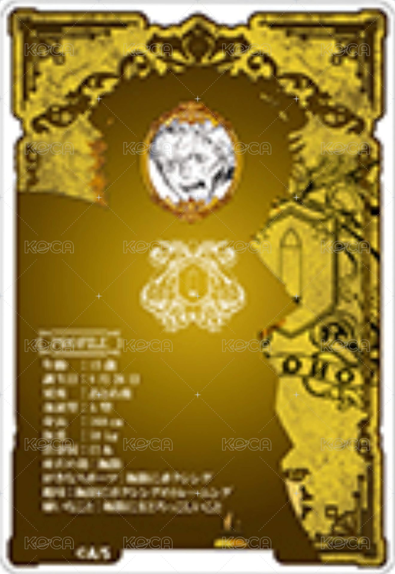 JF 2023 數據卡  背面