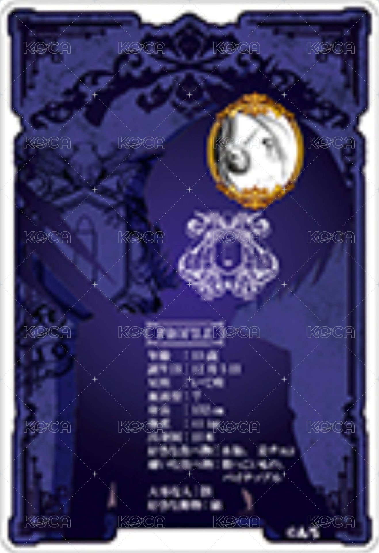 JF 2023 數據卡  背面