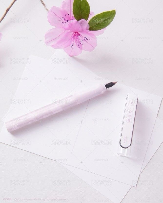 IU 花書籤꽃갈피 셋 鋼筆 Fountain Pen