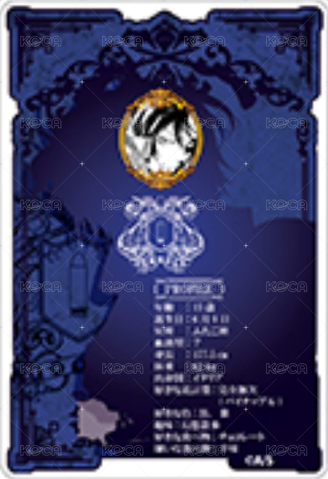 JF 2023 數據卡  背面