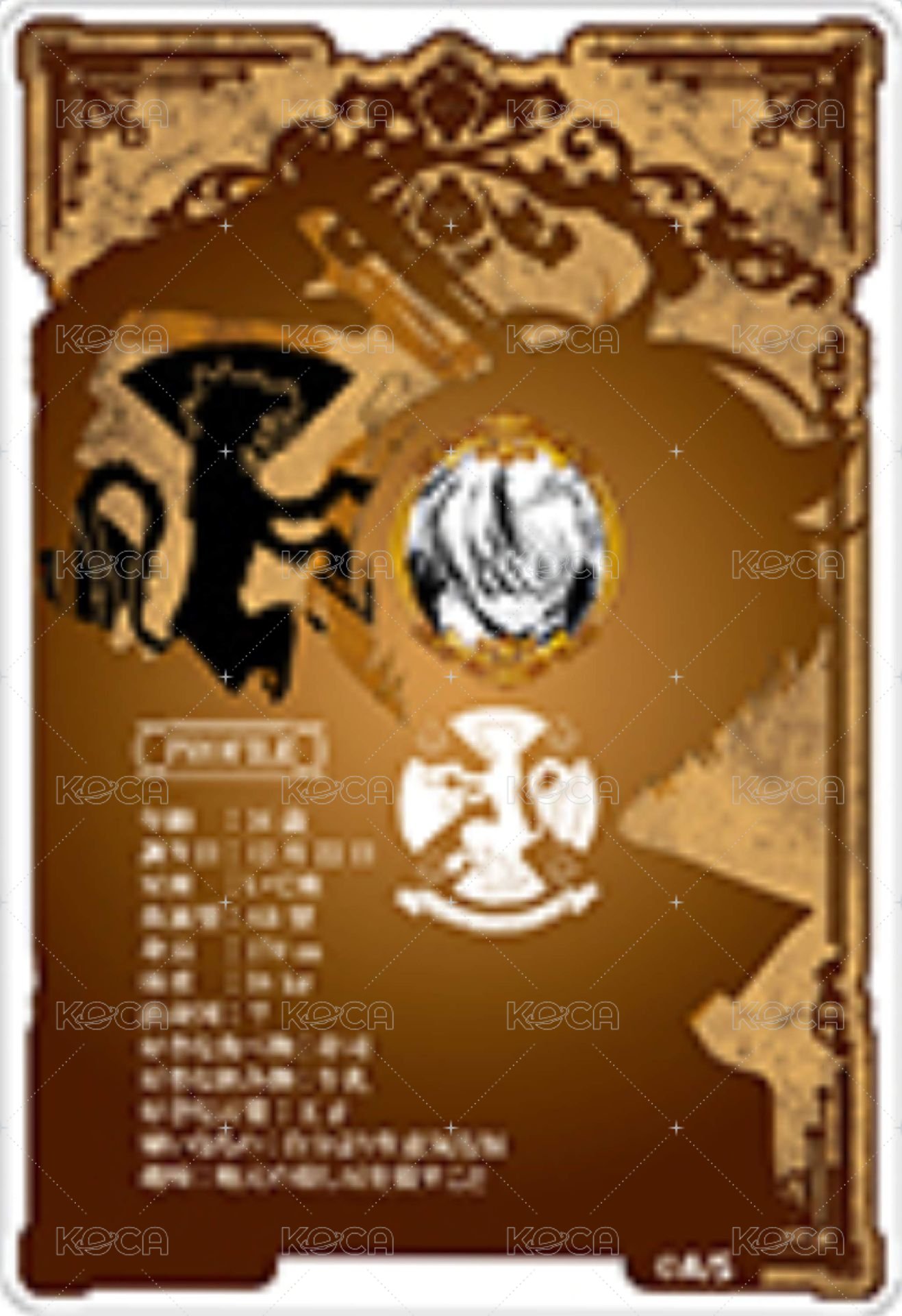 JF 2023 數據卡  背面
