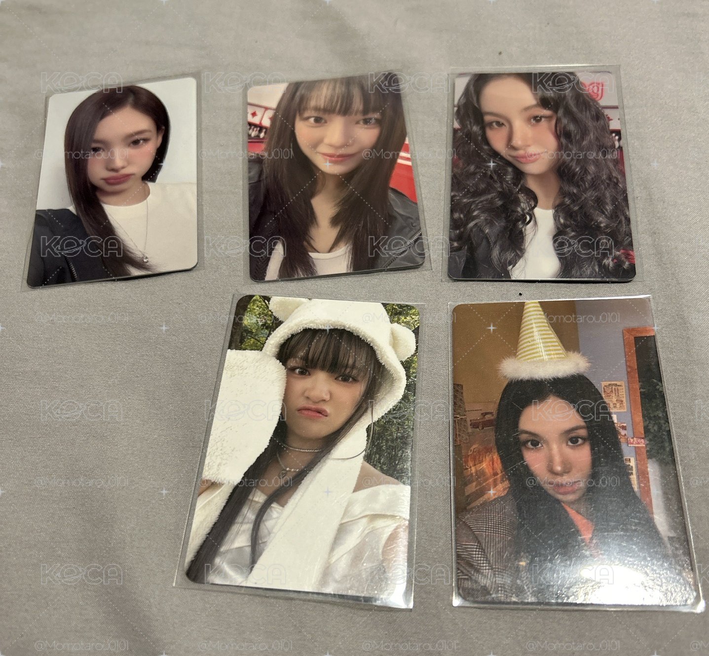 娜定彩新國立滿額卡+熊帽定+娃專卡彩
