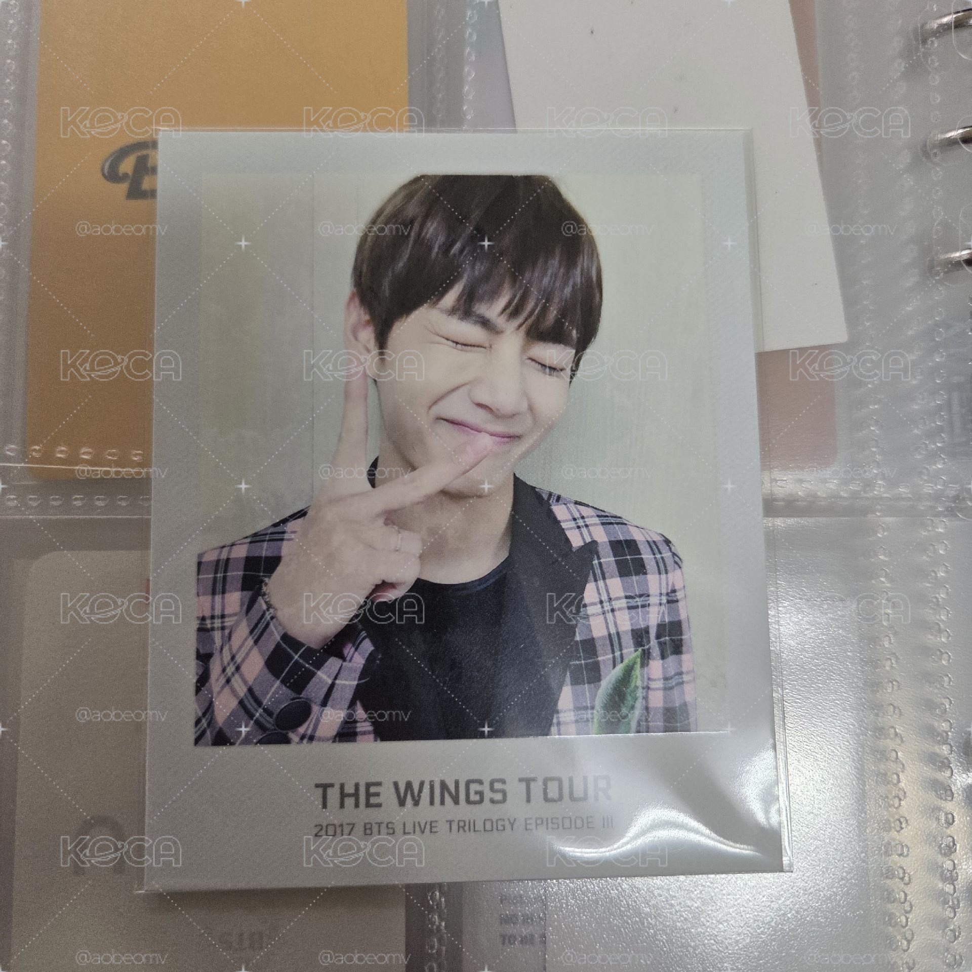 泰亨 Wings Tour 卡冊卡 