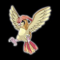 比比鳥