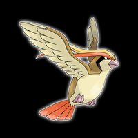 大比鳥