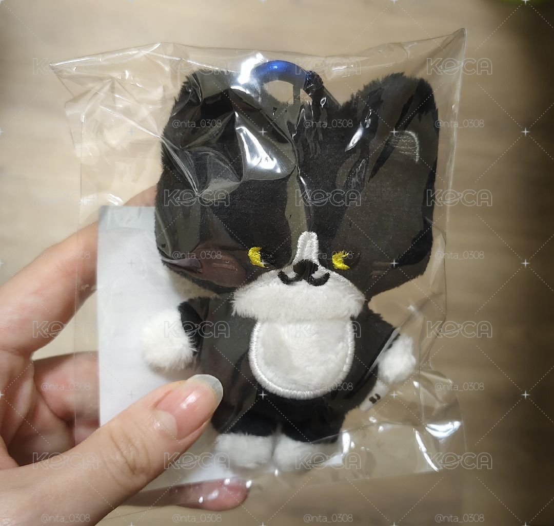 SJ日超雲貓