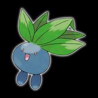 走路草