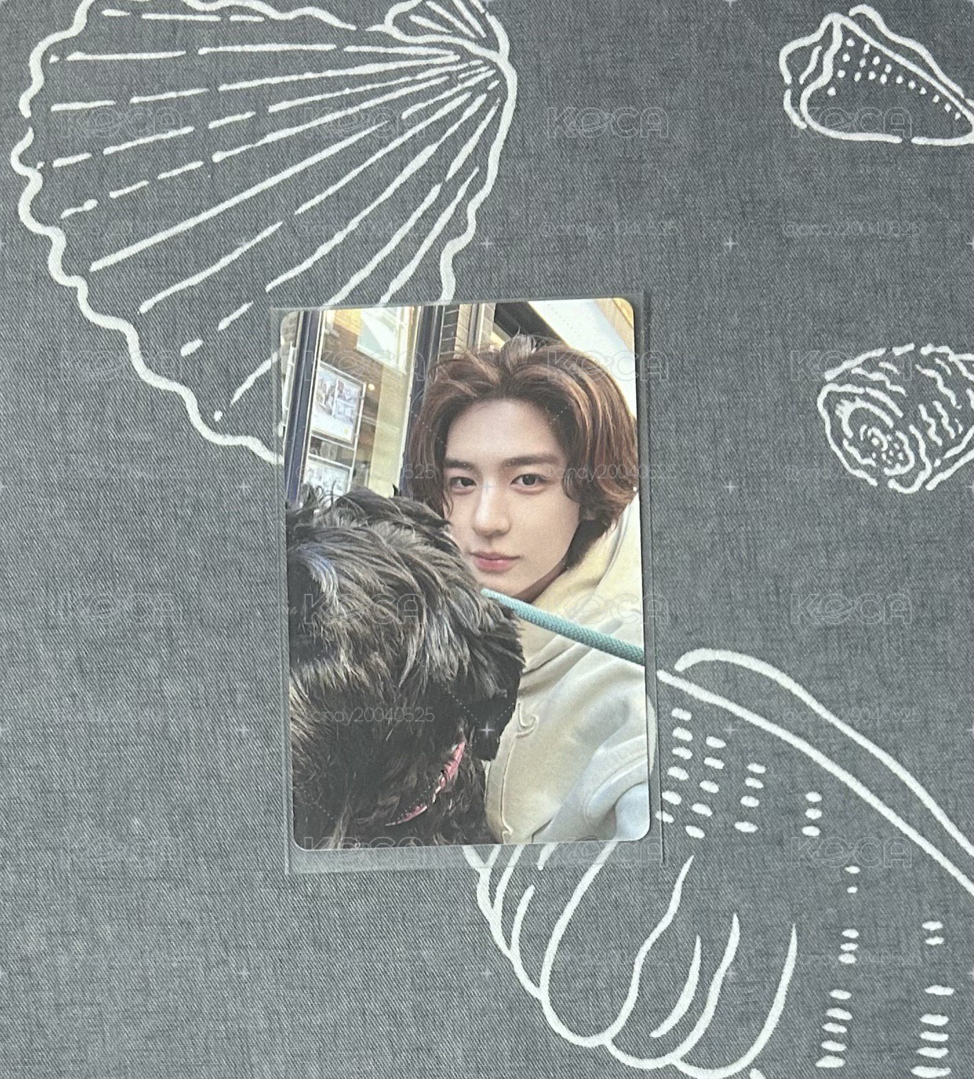 boynextdoor 🐰