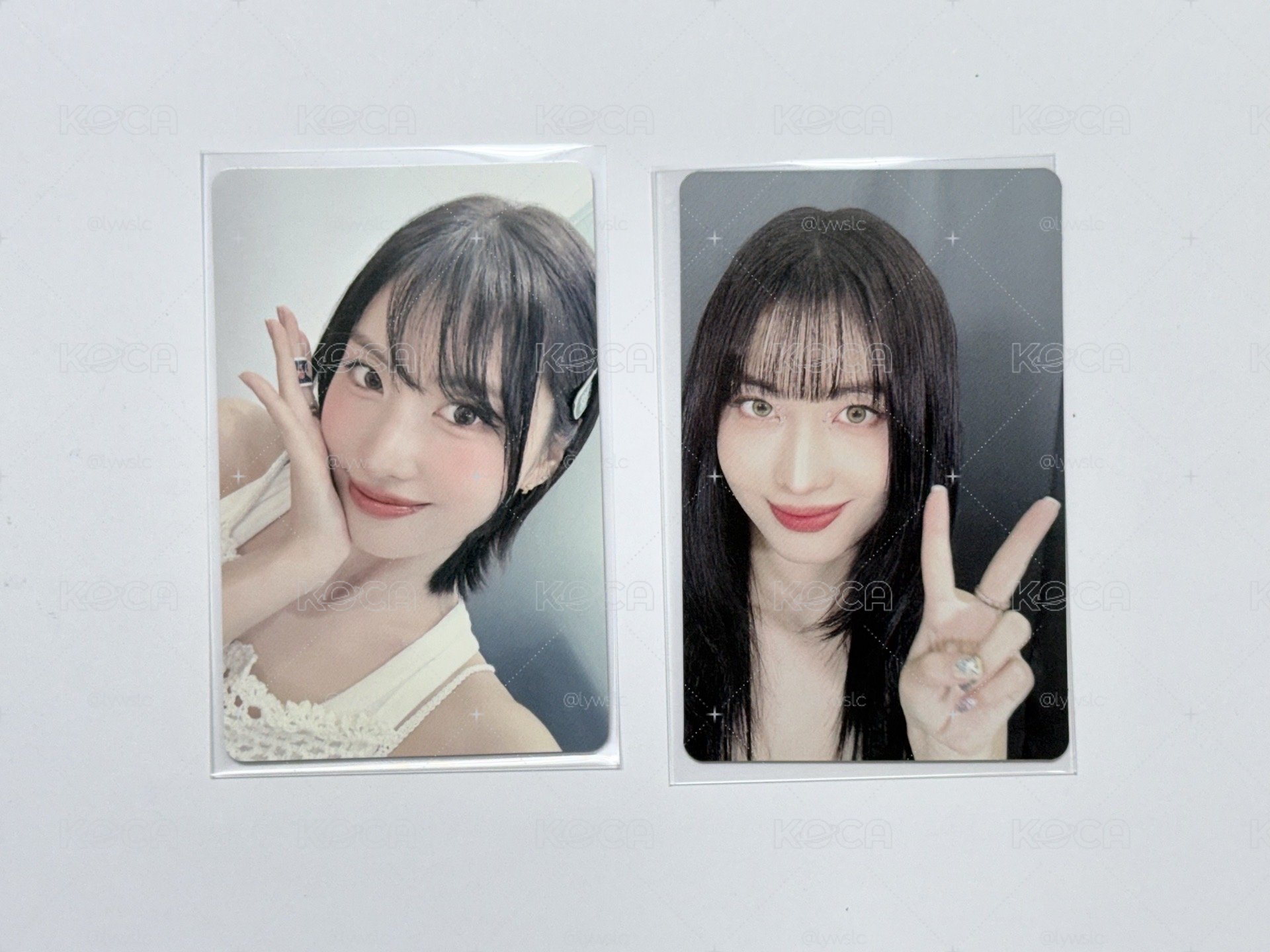 桃 合影卡 2.0 + 日巡特別 DVD 小卡