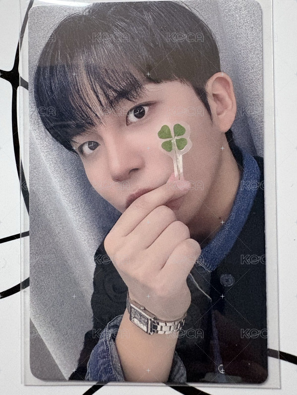 🍀幸運草鍾🐻