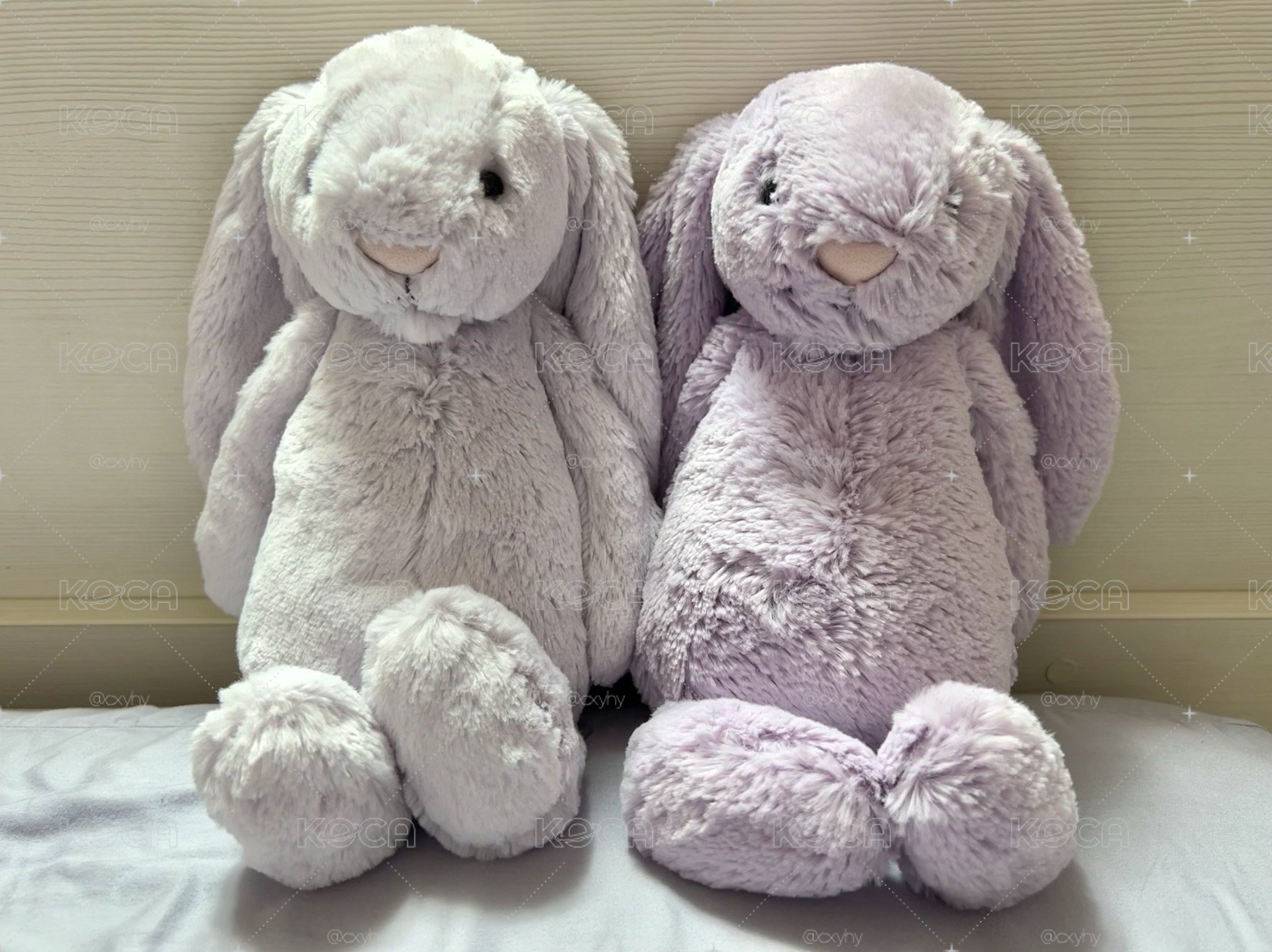 31cm丁香紫邦尼兔(右👉🏻）
