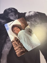 綠版馬