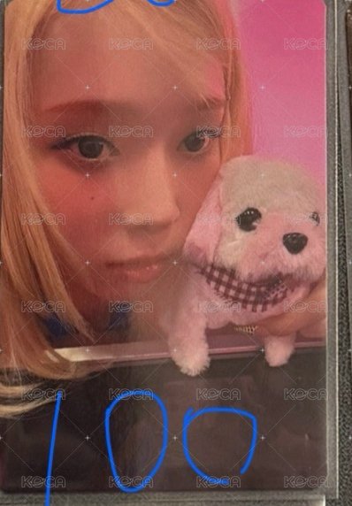 狗狗