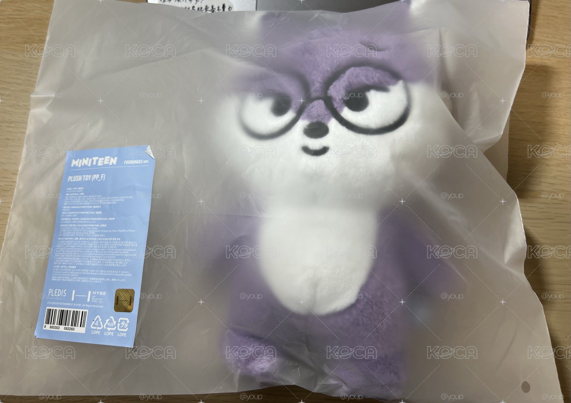 MINITEEN FOXDUNGEE 全圓佑大娃