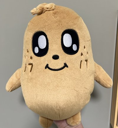 MINITEEN 站娃 KIMJA 直出