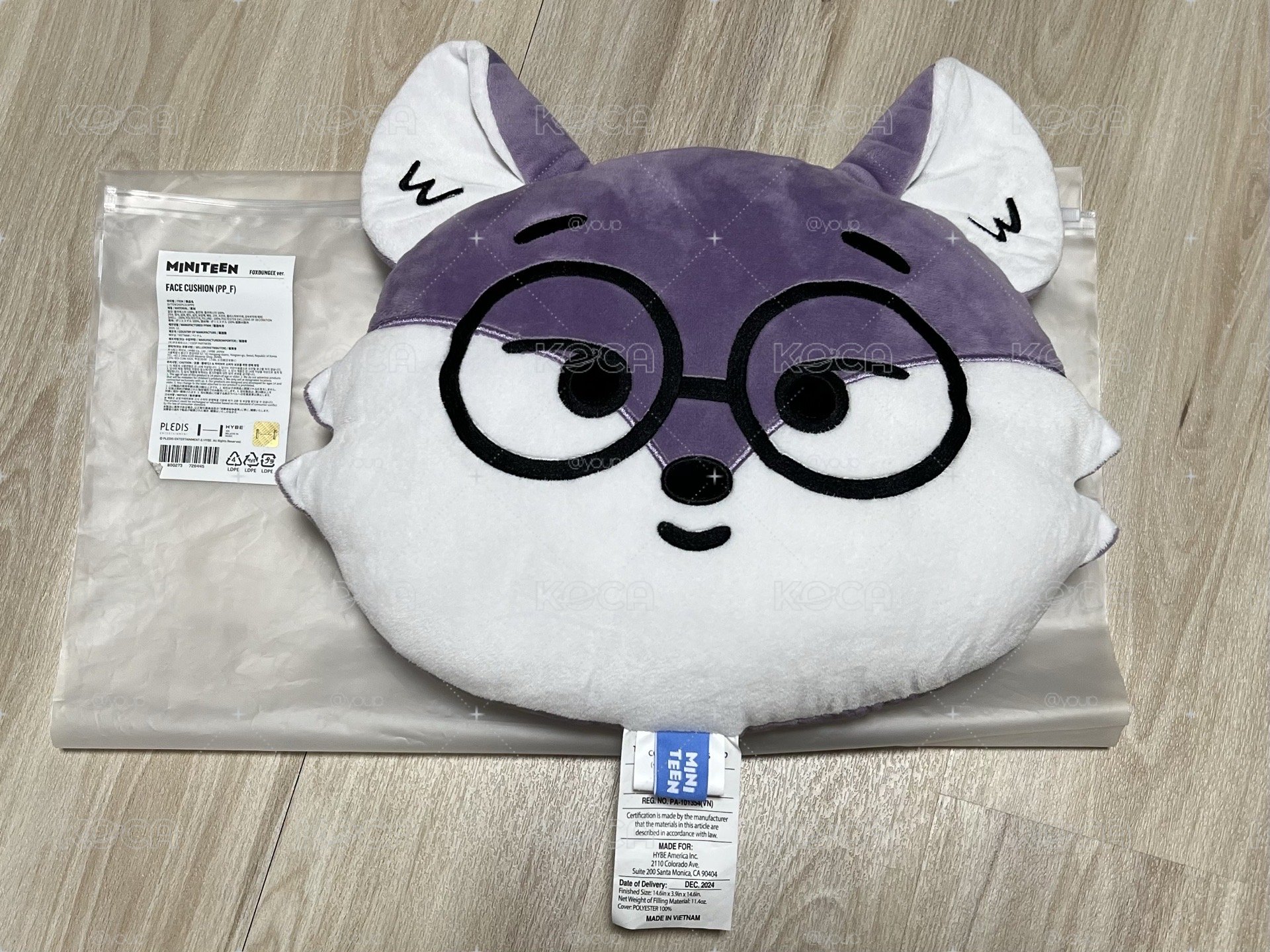 Miniteen foxdungee 全圓佑抱枕 直出