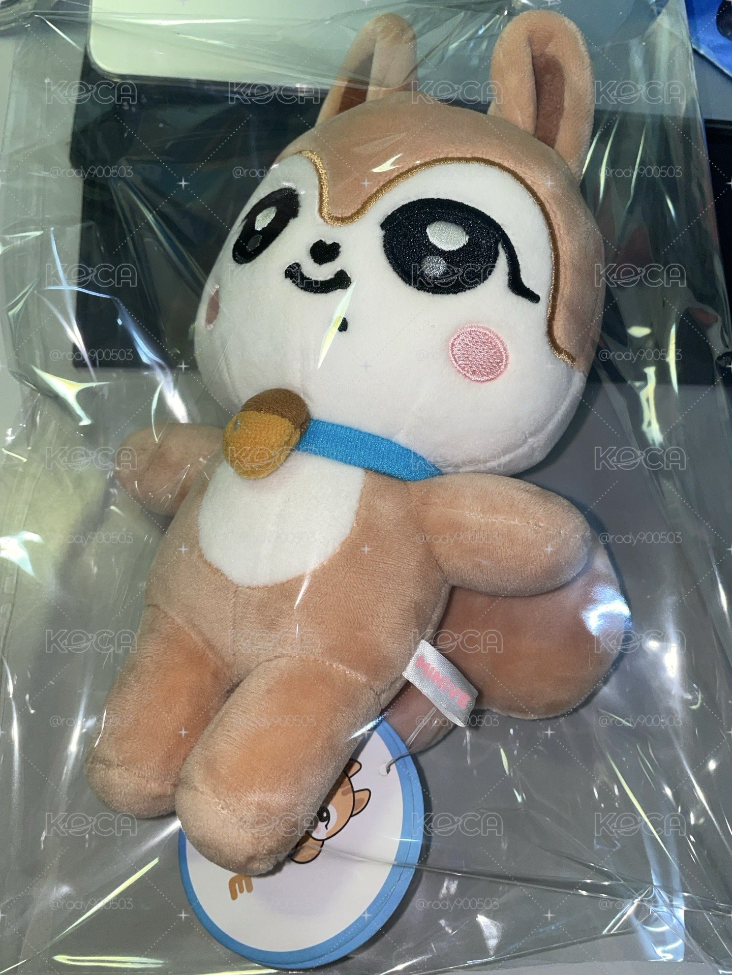 IVE MINIVE  20cm 娃娃 DAL-E 金秋天松鼠娃娃