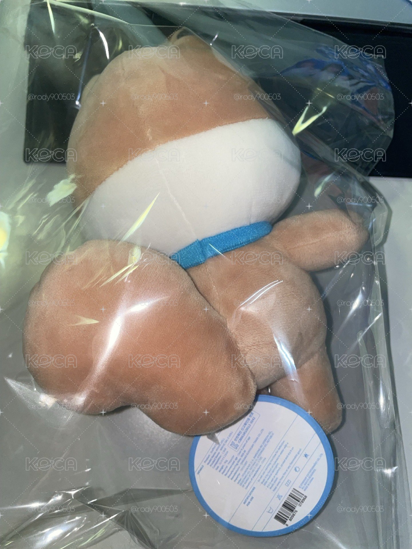 IVE MINIVE  20cm 娃娃 DAL-E 金秋天松鼠娃娃