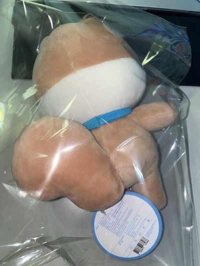 IVE MINIVE  20cm 娃娃 DAL-E 金秋天松鼠娃娃