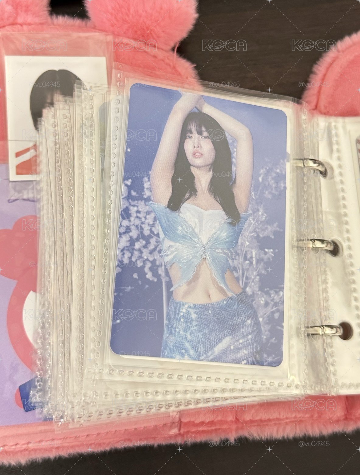 Momo Dive