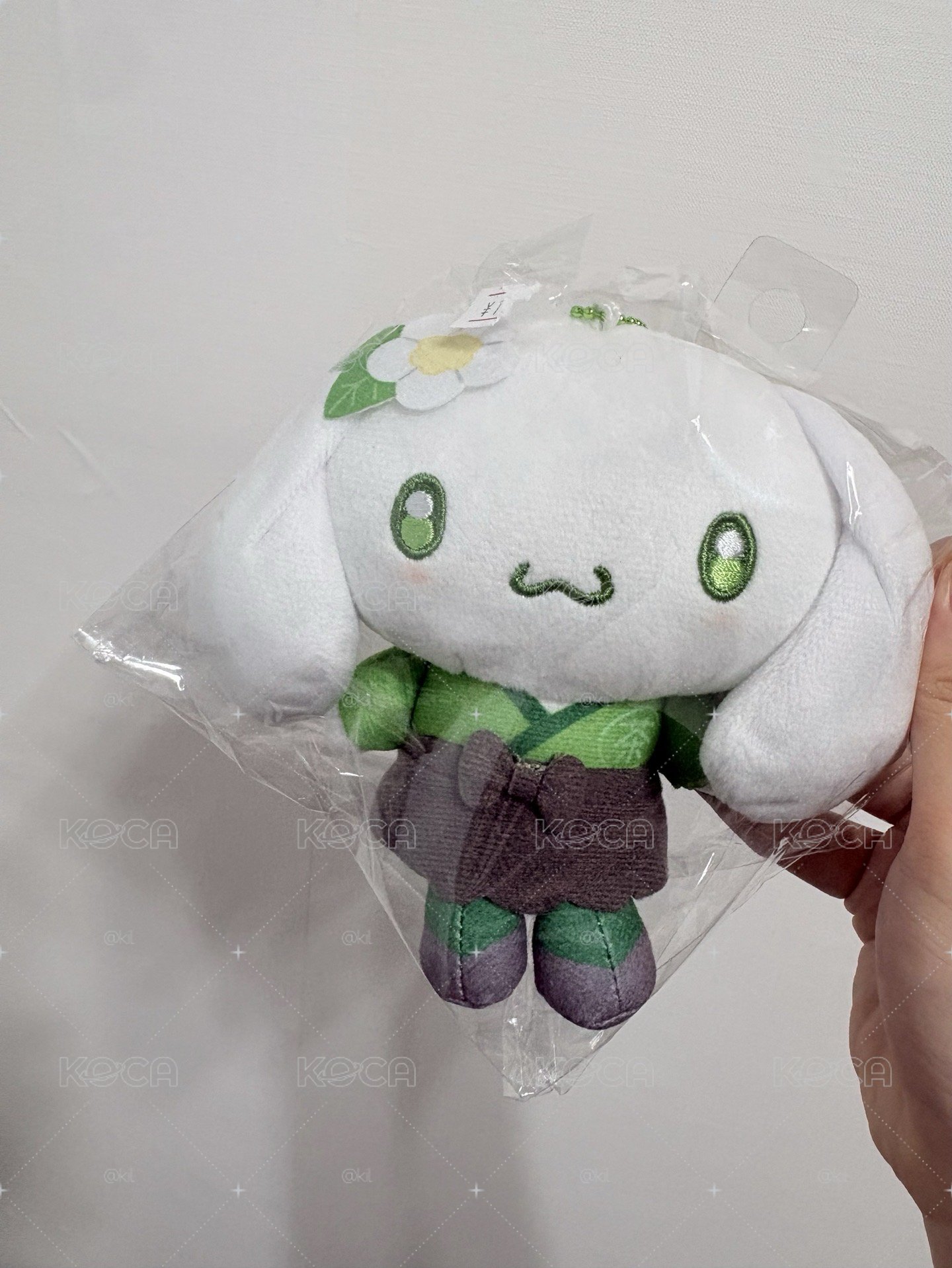 抹茶大耳狗