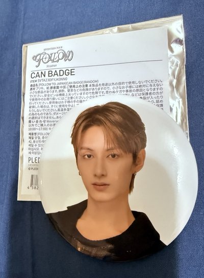 Follow To Japan大頭徽章