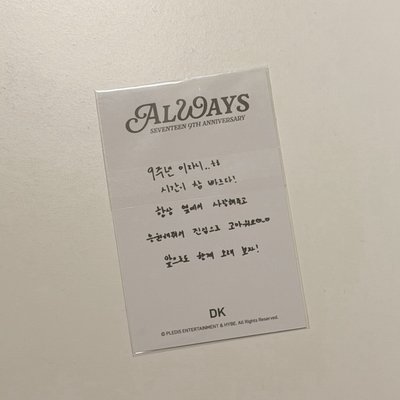 SEVENTEEN DK碩珉 九週年項鏈卡