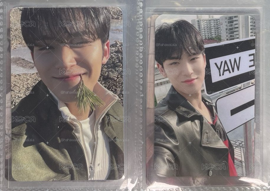svt 奎小卡