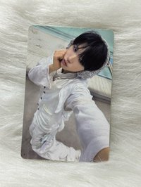 樹