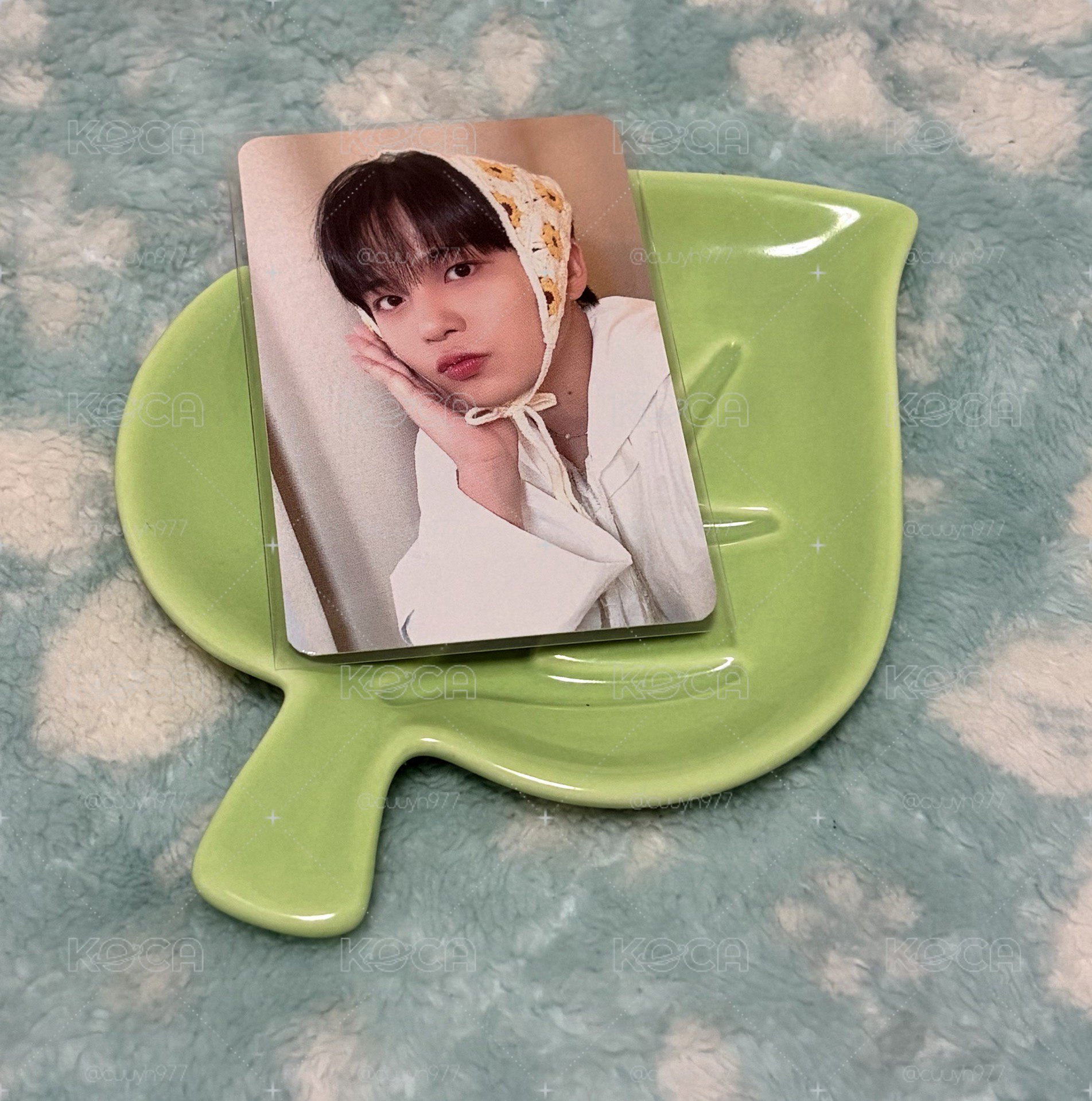 向日葵🌻-小熊🐻
