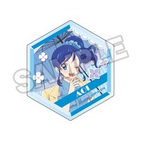 壓克力徽章 盲抽/抱盒