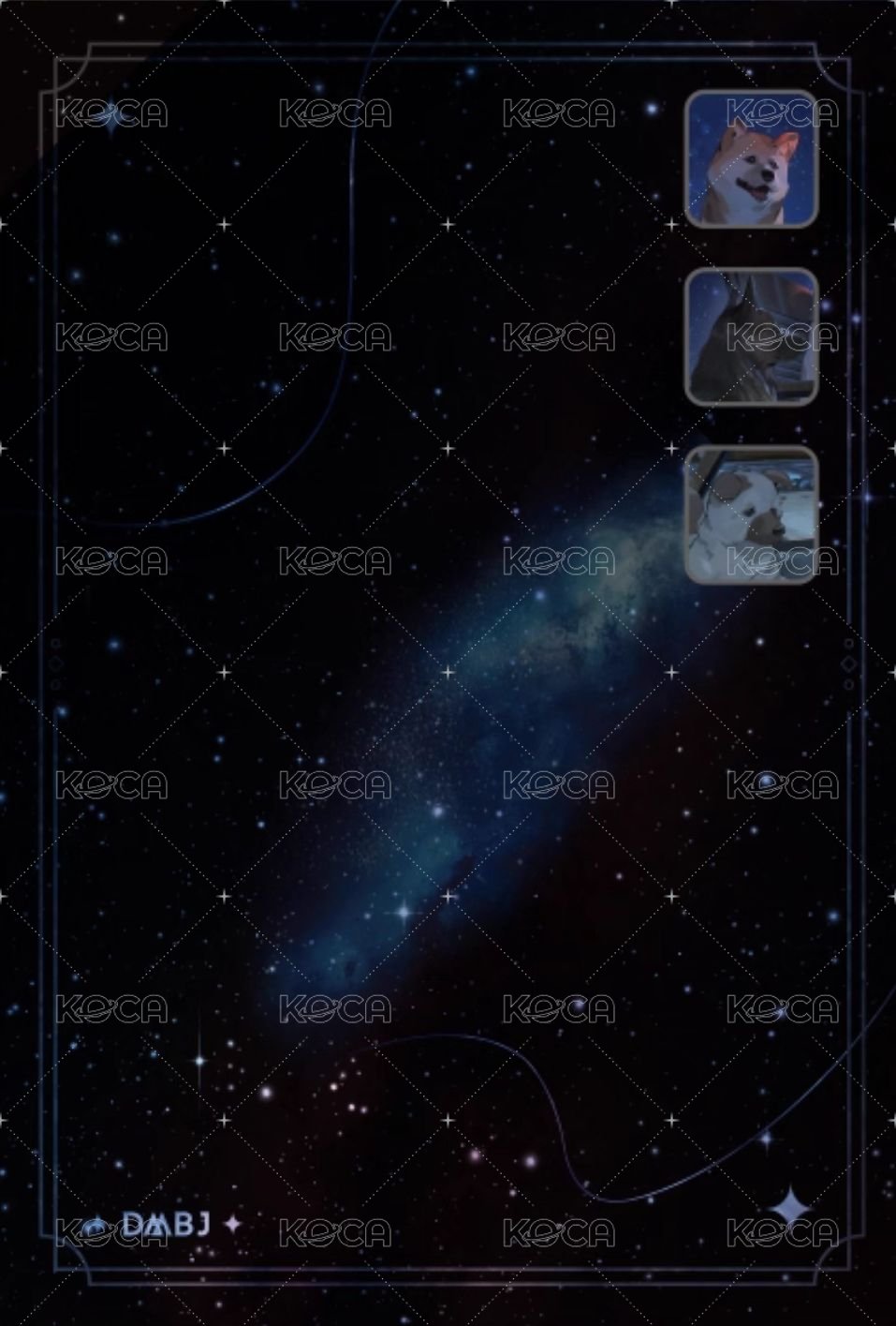 2024生日 夢枕星河 拍立得  背面