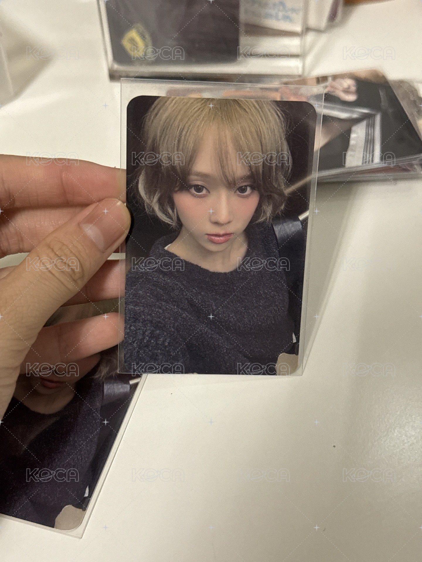 卷毛小狗冬