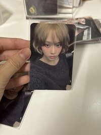 卷毛小狗冬
