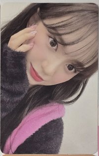 舞白2