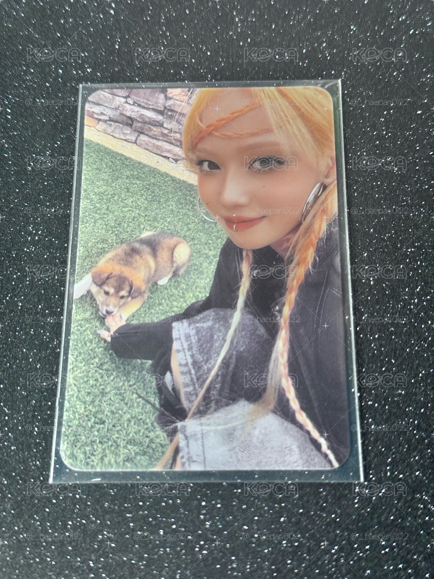 狗狗冬🐶