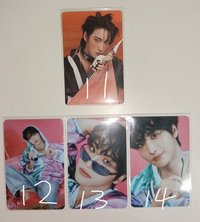星11~14
