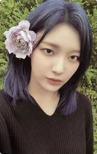 紅豆冰 新那拉 特典卡 