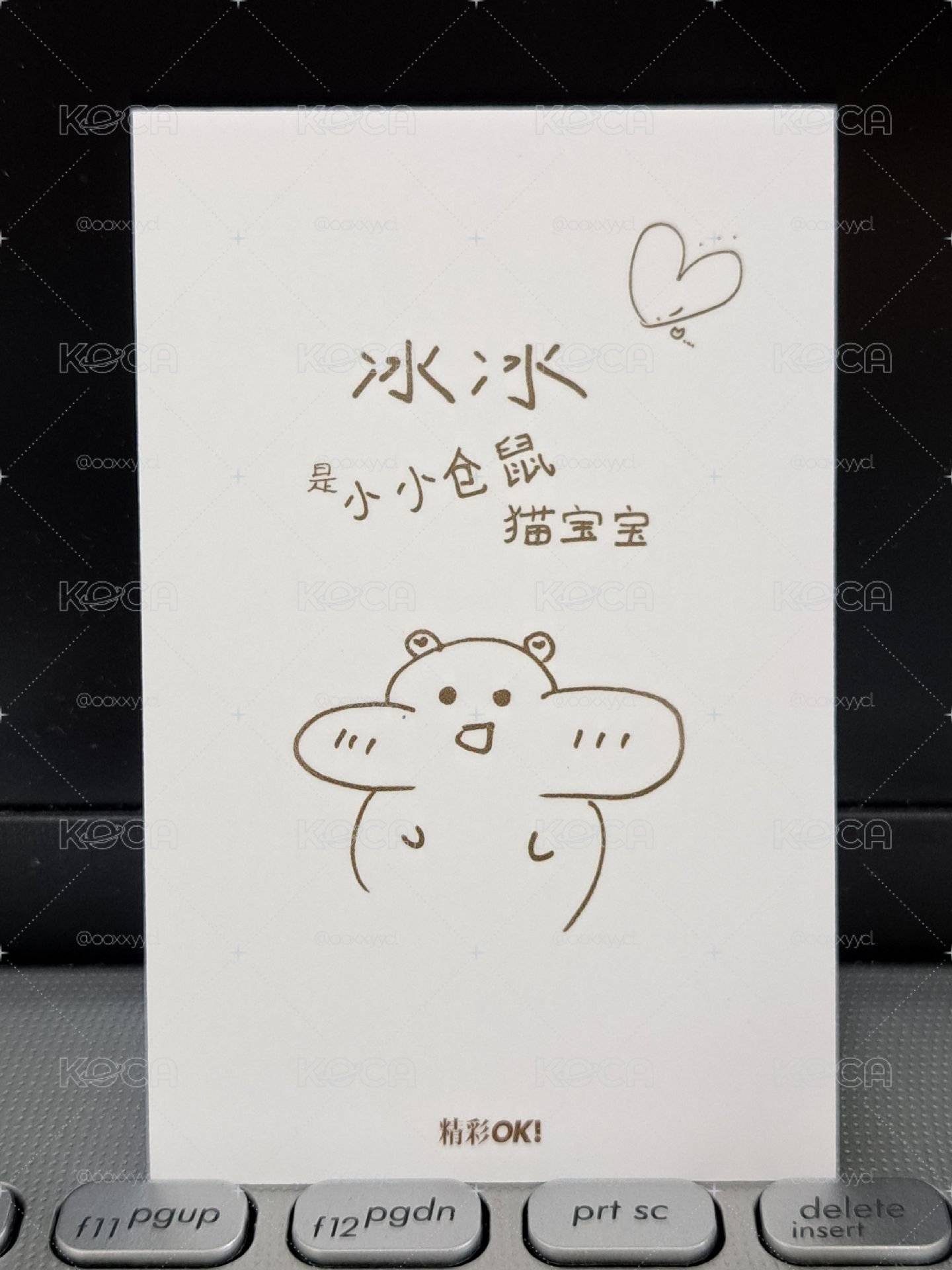 雜誌卡彬 冰冰是小小倉鼠貓寶寶