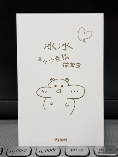 雜誌卡彬 冰冰是小小倉鼠貓寶寶