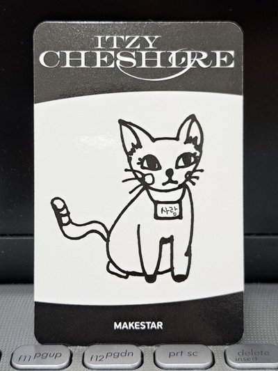 CHESHIRE ms 天使娜 塗鴉卡背 