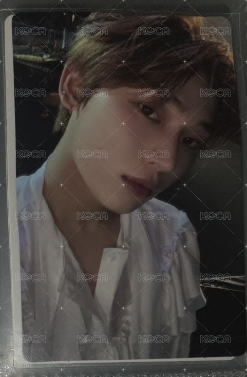 白衣吸血鬼